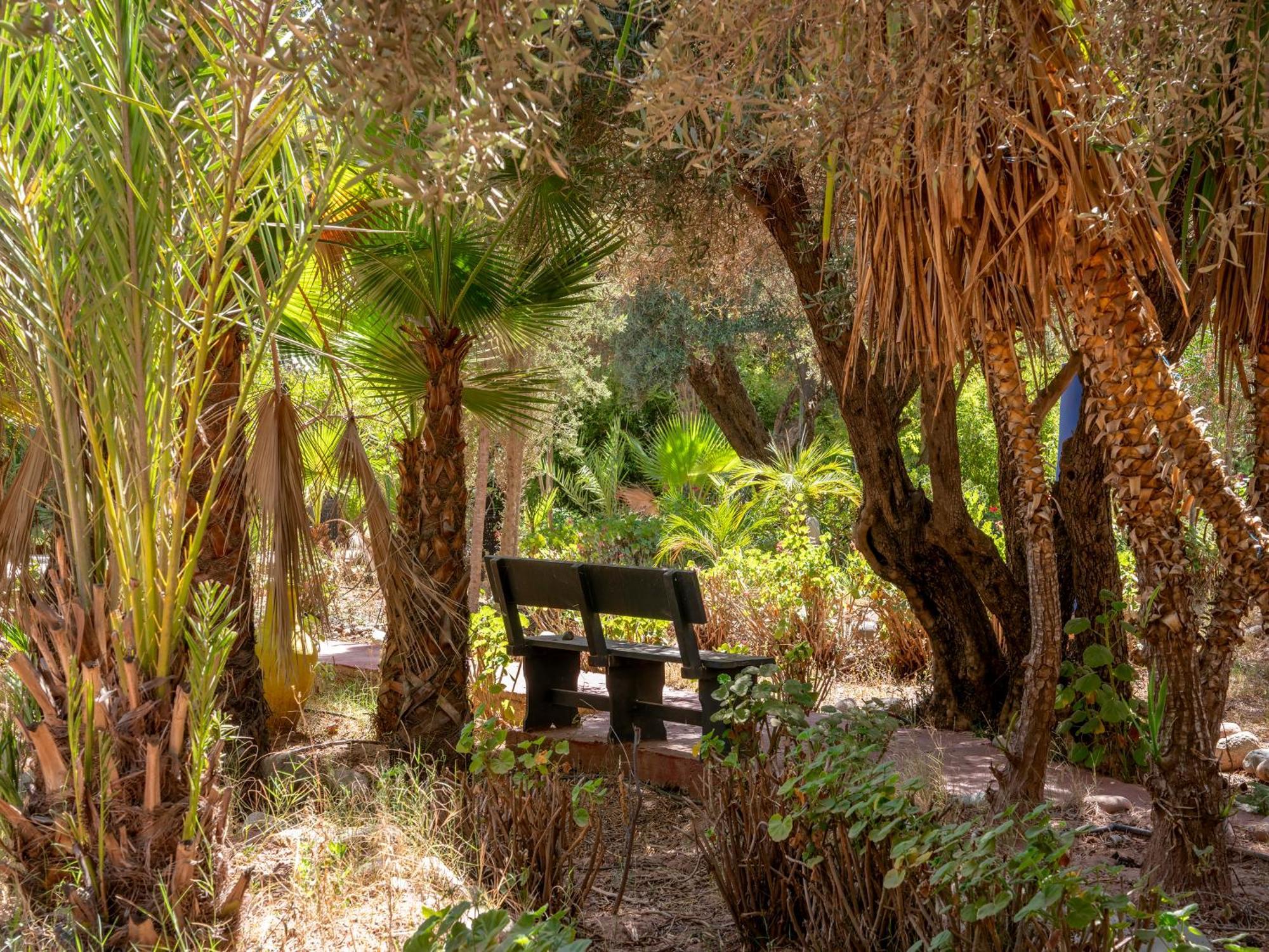Riad Cle De Sol Aghmat Bagian luar foto